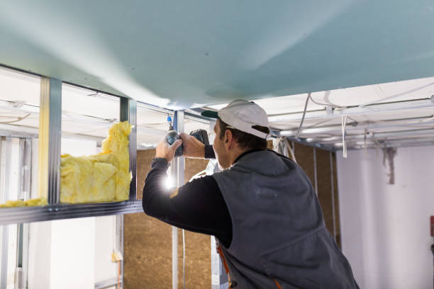 Best Insulation Installation Services in Candor, NC